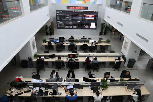 中國(guó)與東盟聚焦數(shù)字合作，推動(dòng)網(wǎng)絡(luò)信息咨詢服務(wù)發(fā)展